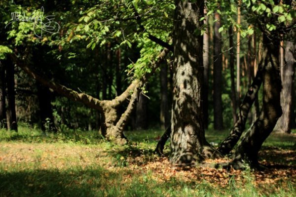 Фотовиставка Тетяни Должко